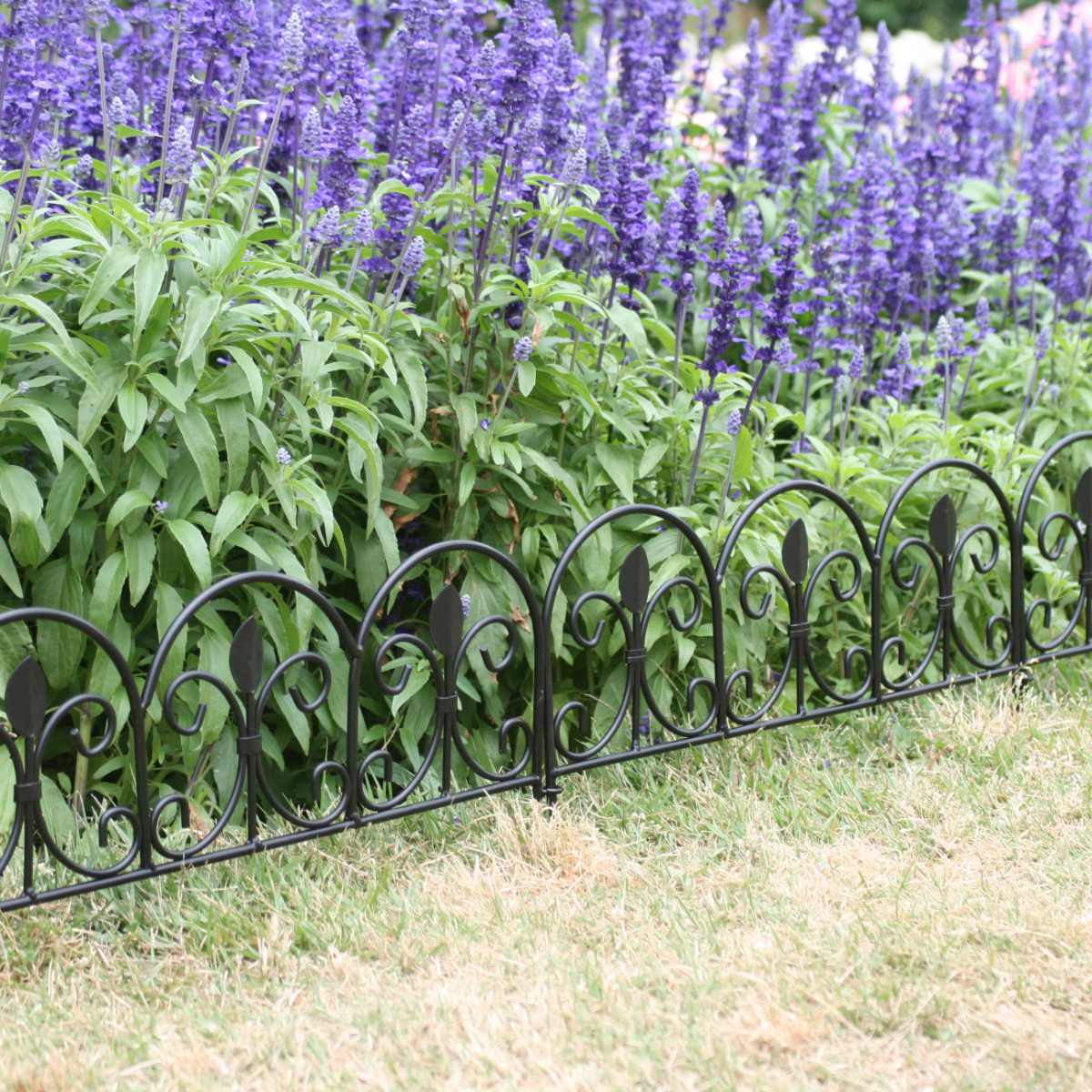 フェンス アイアンミニフェンス リーフ 幅47cm ( ガーデンフェンス アイアン 柵 園芸 エクステリア 雑貨 ミニ 花壇 庭 ベランダ バルコニー ガーデニング アイアンガーデンフェンス トレリス ) 【ブラック】 ブラック