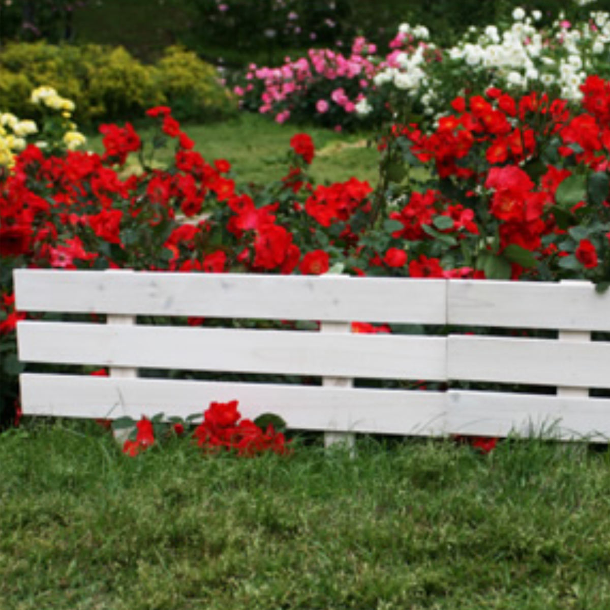 フェンス 天然 木製 スティックフェンス ボーダー 幅80cm ( ガーデンフェンス 天然木 柵 園芸 エクステリア 雑貨 花壇 庭 ベランダ バルコニー ガーデニング 木製ガーデンフェンス トレリス ) 【ダークブラウン】 ダークブラウン