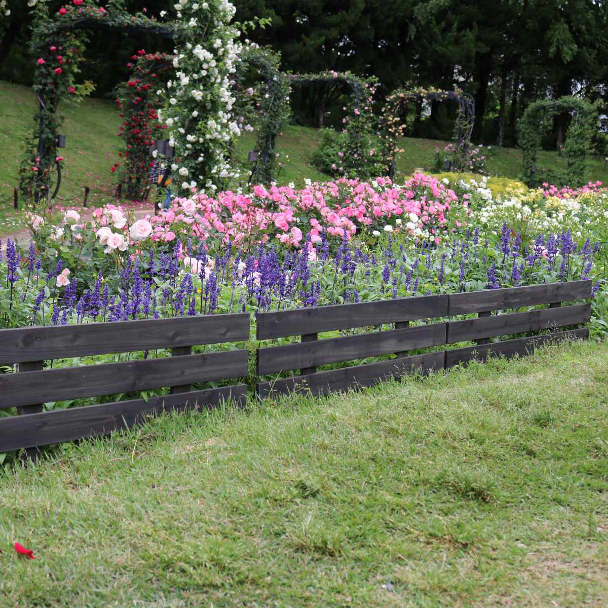 フェンス 天然 木製 スティックフェンス ボーダー 幅80cm ( ガーデンフェンス 天然木 柵 園芸 エクステリア 雑貨 花壇 庭 ベランダ バルコニー ガーデニング 木製ガーデンフェンス トレリス ) 【ダークブラウン】 ダークブラウン