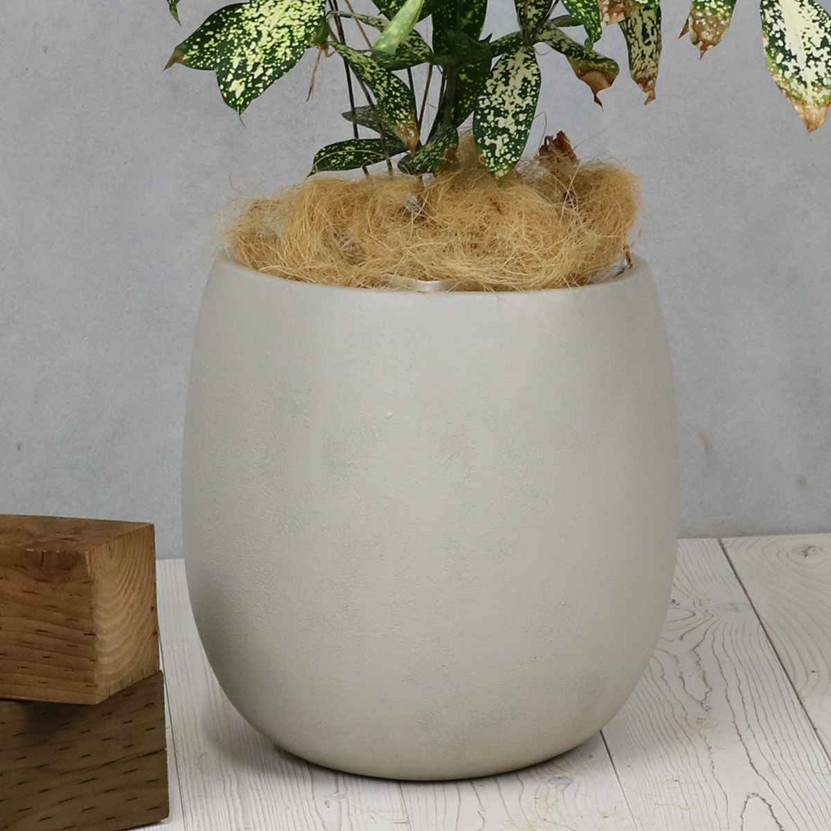 プランター グリッテ 石調FRPプランター 幅30cm ドロップ型 ( プランターカバー ラウンド 植木鉢 鉢 底穴 屋外 外 家庭菜園 寄せ植え おしゃれ ポット 鉢カバー 鉢植え 屋内 丸型 円型 大型プランター 水抜き穴 大型 花 ) 【グレー】 グレー