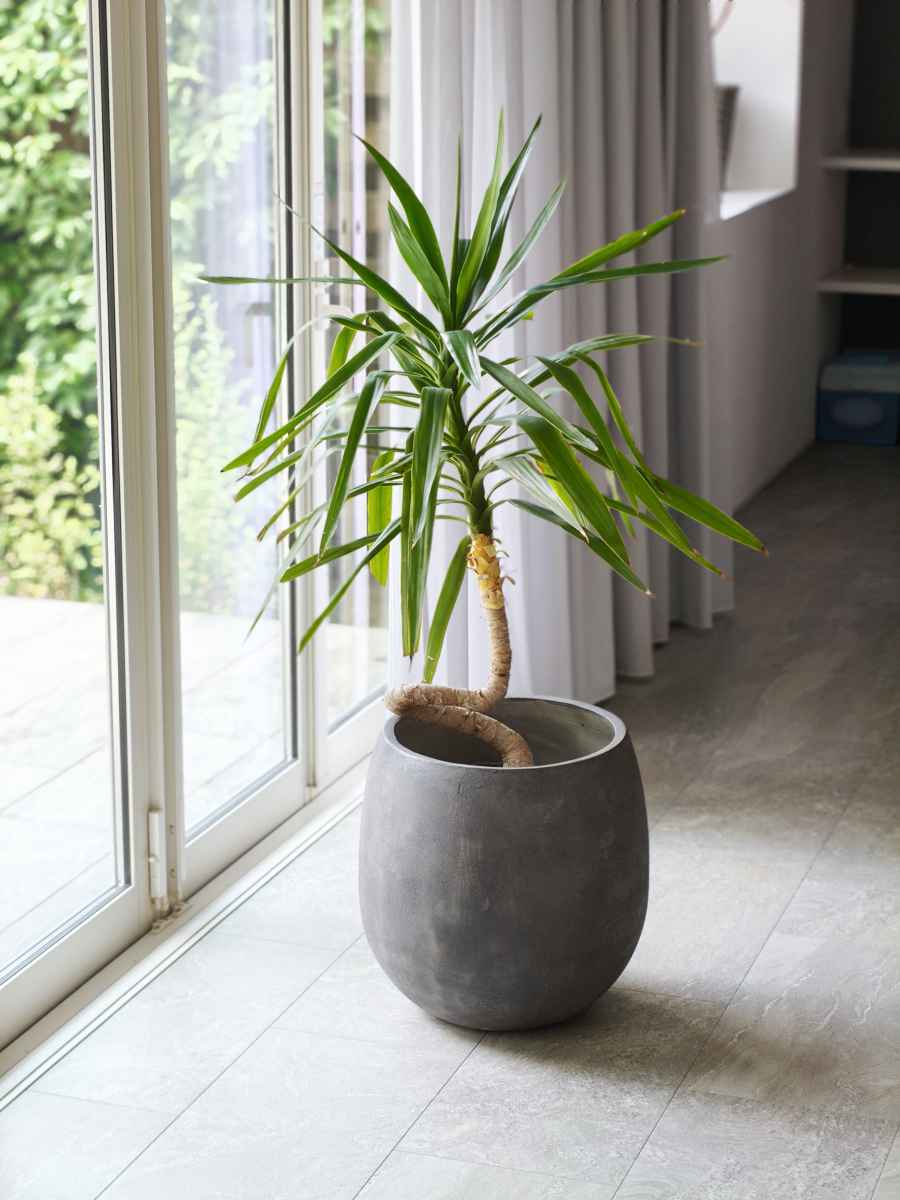 プランター グリッテ 石調FRPプランター 幅30cm ドロップ型 ( プランターカバー ラウンド 植木鉢 鉢 底穴 屋外 外 家庭菜園 寄せ植え おしゃれ ポット 鉢カバー 鉢植え 屋内 丸型 円型 大型プランター 水抜き穴 大型 花 ) 【グレー】 グレー