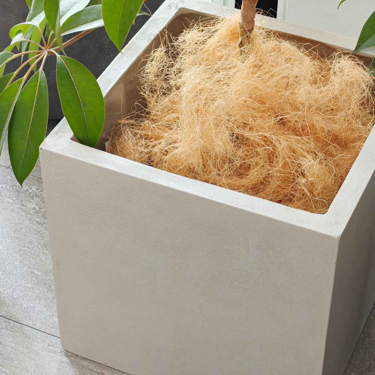 プランター グリッテ 石調FRPプランター 幅40cm 幅50cm 角型 大小2個セット ( プランターカバー スクエア 植木鉢 鉢 底穴 屋外 外 家庭菜園 寄せ植え ポット 鉢カバー 鉢植え 屋内 丸型 円型 大型プランター 水抜き穴 ) 【ホワイト】 ホワイト