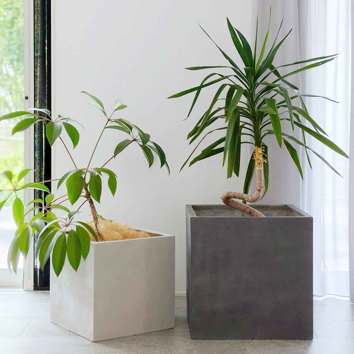 プランター グリッテ 石調FRPプランター 幅40cm 幅50cm 角型 大小2個セット ( プランターカバー スクエア 植木鉢 鉢 底穴 屋外 外 家庭菜園 寄せ植え ポット 鉢カバー 鉢植え 屋内 丸型 円型 大型プランター 水抜き穴 ) 【ホワイト】 ホワイト