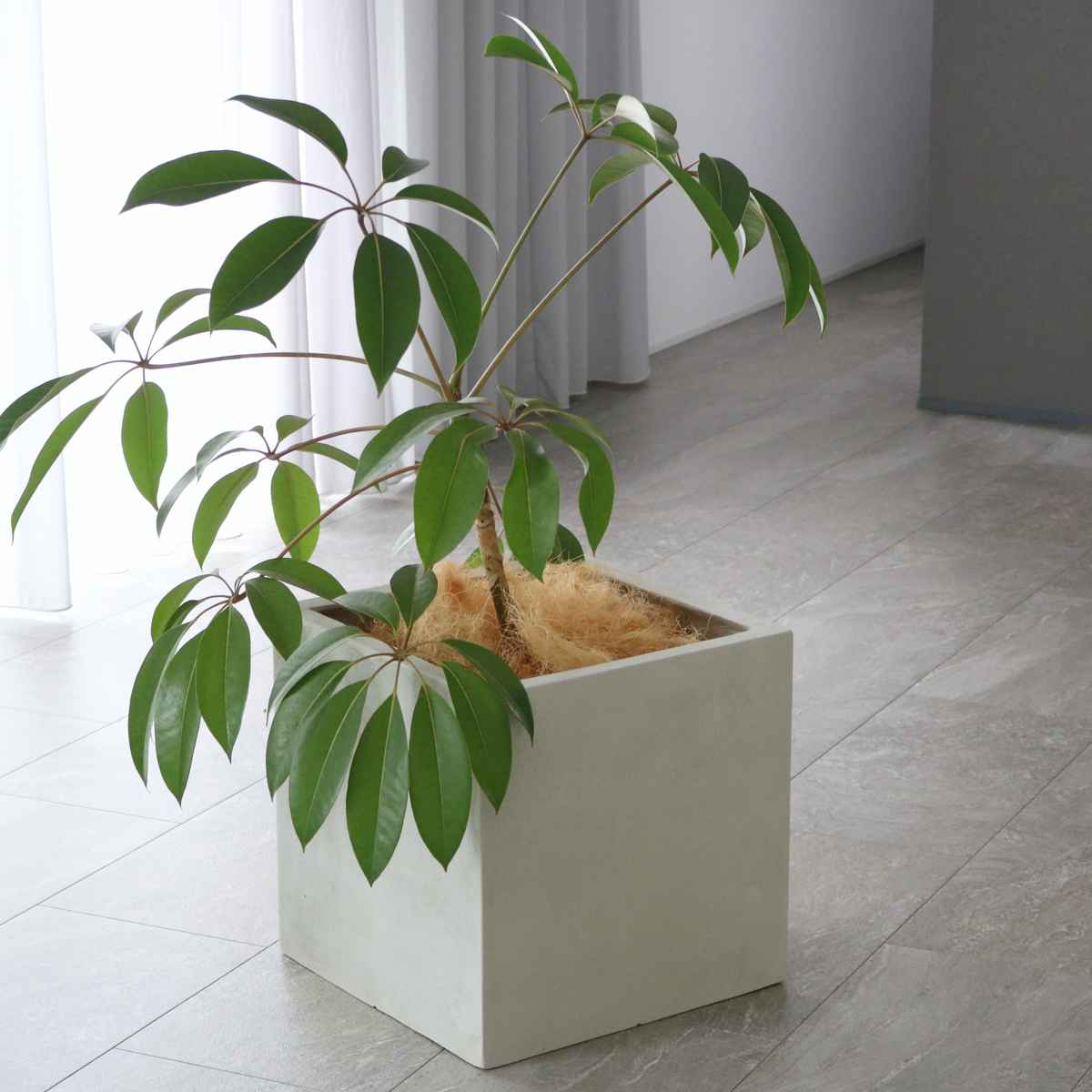 プランター グリッテ 石調FRPプランター 幅40cm 幅50cm 角型 大小2個セット ( プランターカバー スクエア 植木鉢 鉢 底穴 屋外 外 家庭菜園 寄せ植え ポット 鉢カバー 鉢植え 屋内 丸型 円型 大型プランター 水抜き穴 ) 【ホワイト】 ホワイト