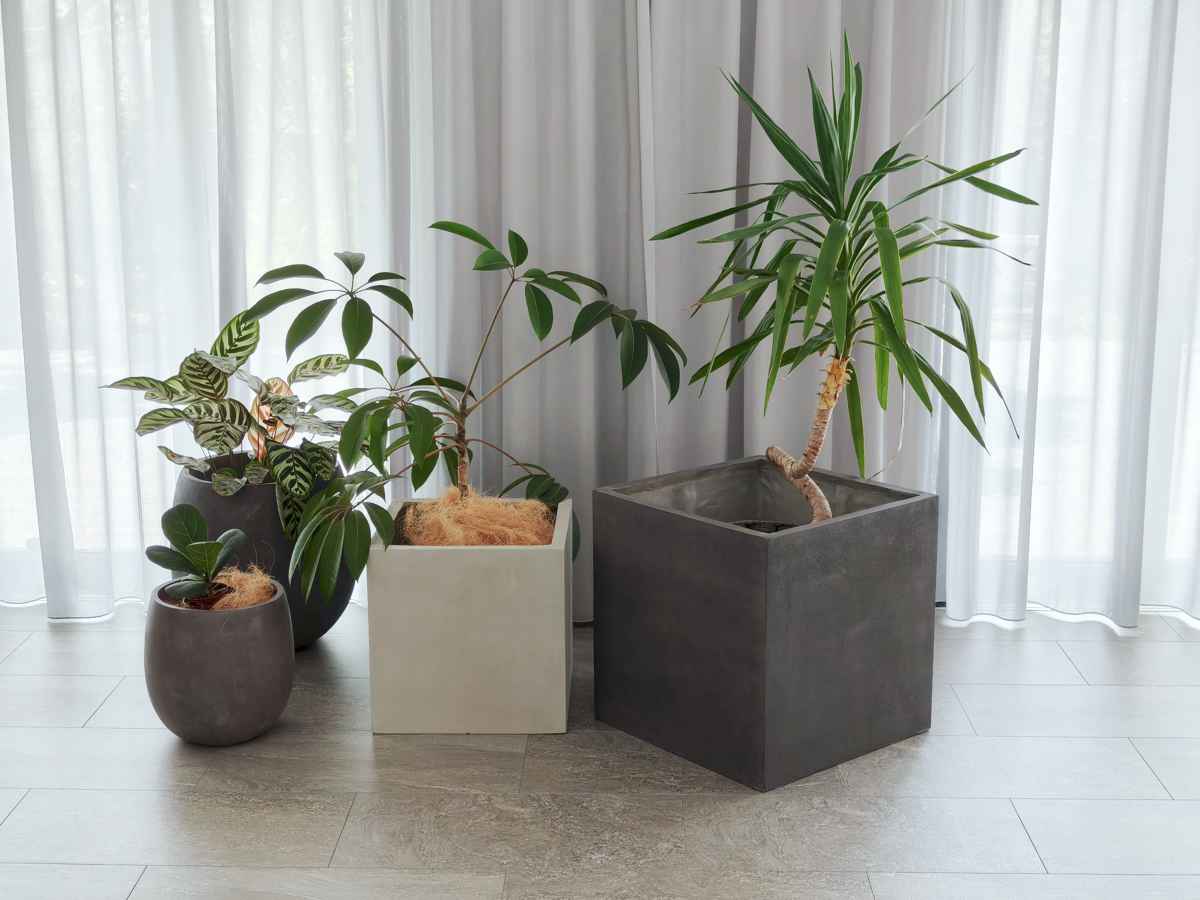 プランター グリッテ 石調FRPプランター 幅40cm 幅50cm 角型 大小2個セット ( プランターカバー スクエア 植木鉢 鉢 底穴 屋外 外 家庭菜園 寄せ植え ポット 鉢カバー 鉢植え 屋内 丸型 円型 大型プランター 水抜き穴 ) 【ホワイト】 ホワイト