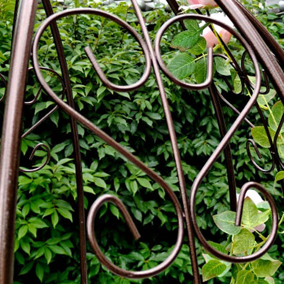 アーチ アイアンハーフアーチオベリスクキット ( ガーデンフェンス ハーフアーチ フェンス アイアン 柵 園芸 エクステリア 雑貨 花壇 庭 ベランダ バルコニー ガーデニング アイアンガーデンフェンス オベリスク ) 【ホワイト】 ホワイト