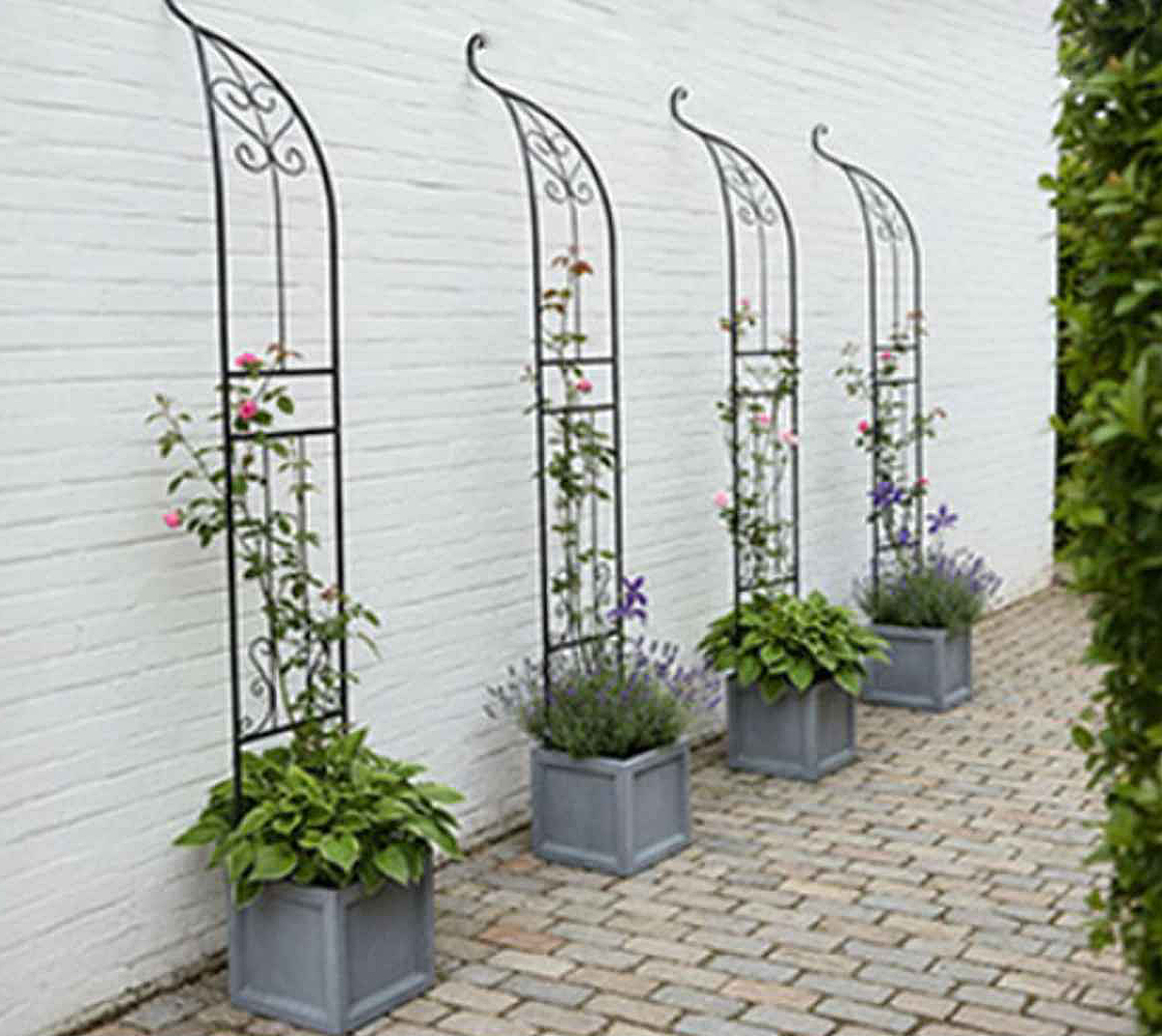 アーチ アイアンハーフアーチオベリスクキット ( ガーデンフェンス ハーフアーチ フェンス アイアン 柵 園芸 エクステリア 雑貨 花壇 庭 ベランダ バルコニー ガーデニング アイアンガーデンフェンス オベリスク ) 【ホワイト】 ホワイト