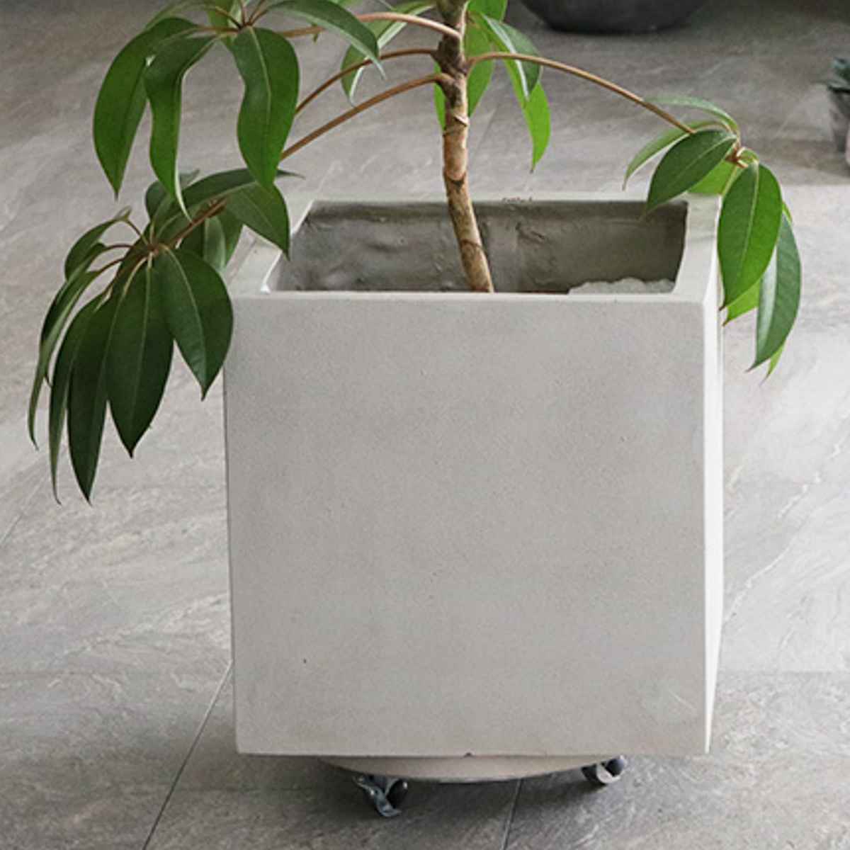 プランター セメント製キャスター付きプランターキャリー36cm 2台組 ( 花台 プランター台 フラワーラック 飾り台 プランターラック フラワー スタンド 室内 飾る 台 脚付き 置く 植物 観葉植物 花 園芸 インテリア ) 【グレー】 グレー