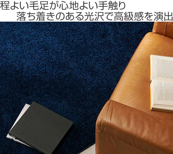 ラグ スミノエ 防ダニ ラグマット レーヴ 円形 120×120cmcm ( ラグマット カーペット 絨毯 清潔 安全 肌に優しい 滑り止め 遊び毛防止 お手入れ簡単 防ダニ加工 フォースター 子ども お年寄り ) 【 ベージュ 】 ベージュ