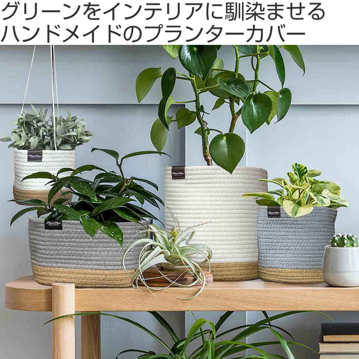 観葉植物 ガーデニング 鉢 プランター 3号 - 鉢・プランター