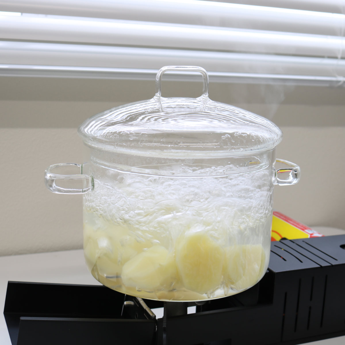 耐熱ガラス両手鍋1.9L ( 両手鍋 ガス火 直火 ガラス製 電子レンジ対応 オーブン対応 ガラス鍋 耐熱ガラス 鍋 なべ 両手なべ ガス火対応 直火対応 電子レンジ調理器 レンジ用鍋 蓋付き おしゃれ )