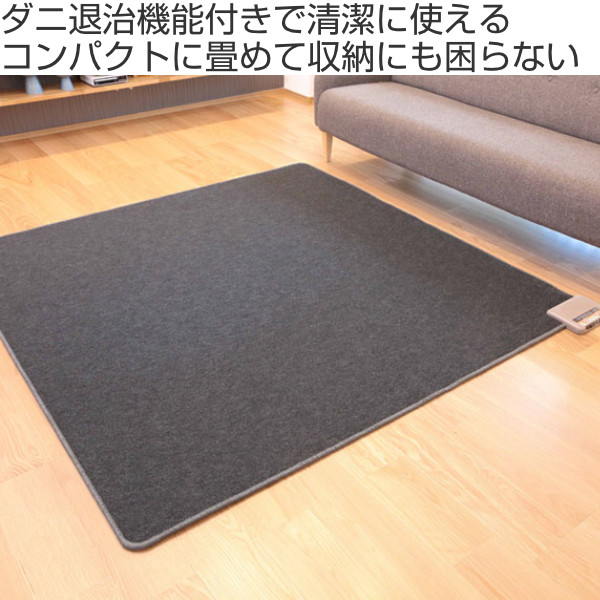 ホットカーペット 電気カーペット 3畳 本体 日本製 195×235cm （ ラグ 電気 カーペット 絨毯 マット 電気マット ホットマット 長方形  足元暖房 ダニ退治 コンパクト 温度調節 温め 足元ヒーター 暖房 暖面切替 自動オフ ）