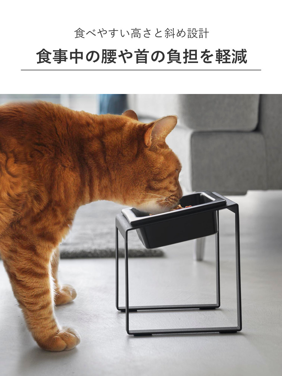 餌台 81pN0OMQsyL._UF350,350_QL80_.jpg