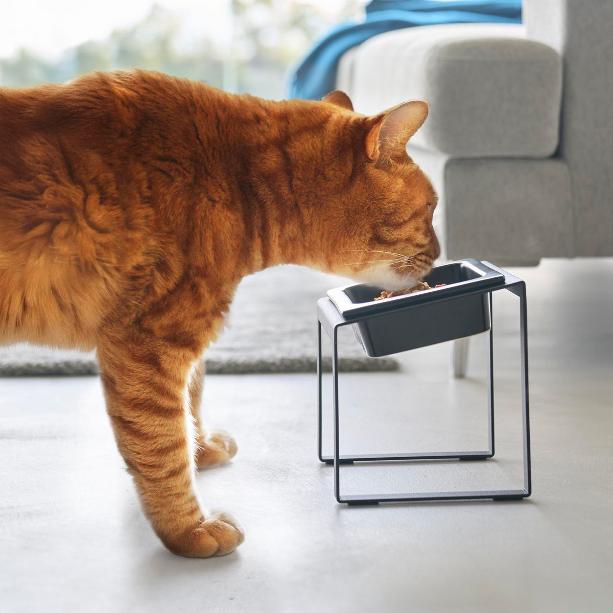 山崎実業 tower 早食い防止ペットフードボウルスタンド タワー 斜めハイタイプ ( 4903208102391 タワーシリーズ ペットフードボウル ペット フードボウル スタンド 斜め ハイタイプ えさ台 早食い防止 ) 【ブラック】 ブラック