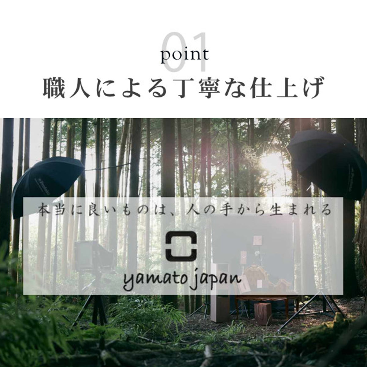 ゴミ箱 木製 10L W CUBE セン 袋が見えない 日本製 ( ダストボックス ごみ箱 10リットル おしゃれ 袋 見えない スリム リビング 四角 小さい 北欧 分別 幅20 被せる 角型 木 ウッド ごみ袋 隠す 隠せる 省スペース インテリア ) 【クリアホワイト】 クリアホワイト