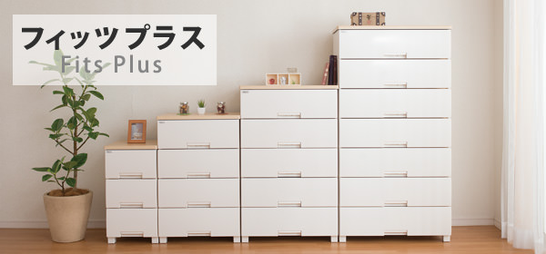 フィッツプラス