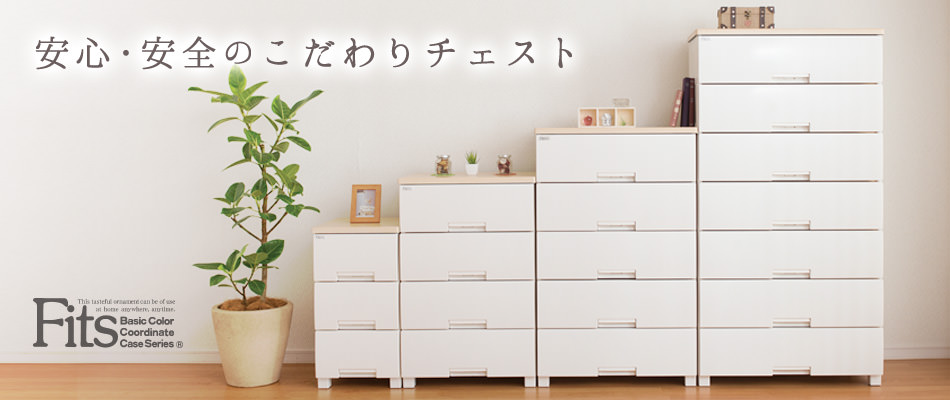 フィッツプラス特集