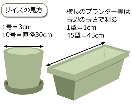 植木鉢やプランターのサイズ選び方