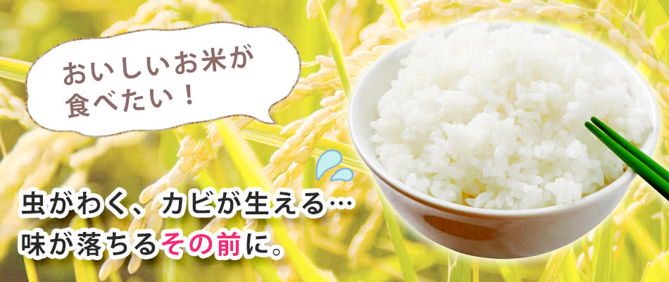 米びつ ライスストッカー おすすめ リビングート Au Pay マーケット店