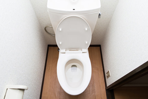 おうちのトイレは