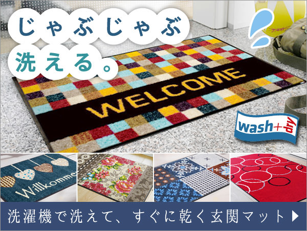 wash+dry �E�H�b�V���A���h�h���C