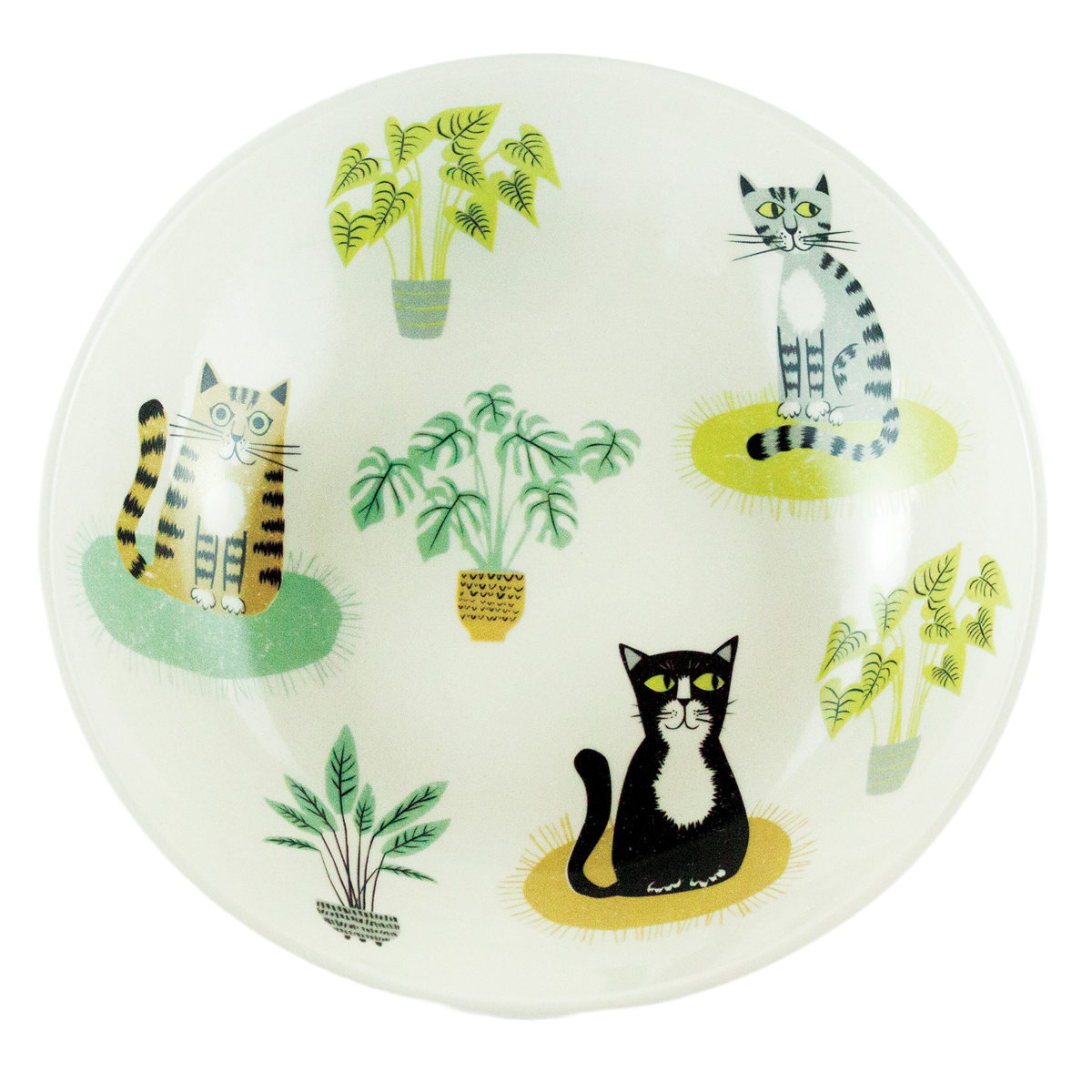お皿 Hannah Turner ネコ Cat Pasta Bowl ( ハンナターナー 21.5cm 皿 パスタボウル ボウル 陶器 食器 カレー皿 食洗機対応 電子レンジ対応 ねこ 中皿 おしゃれ 深皿 カレー パスタ サラダ 動物 グッズ キャット 猫 )