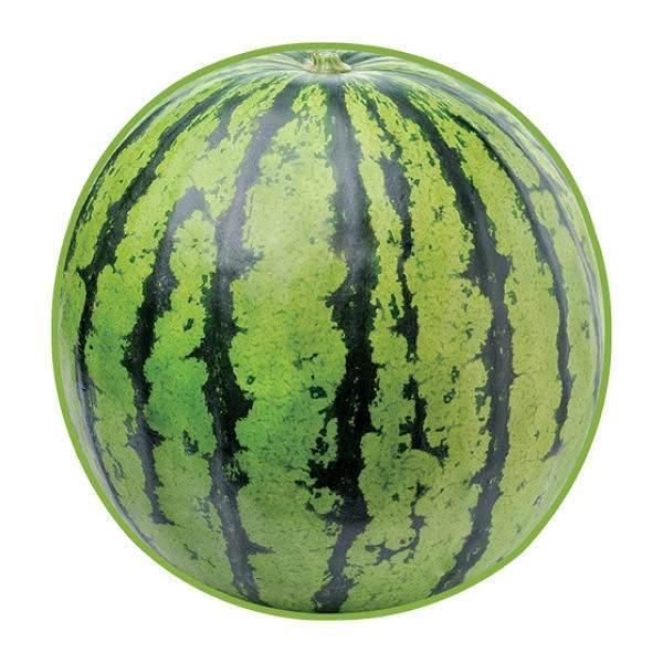 Dショッピング ハンドタオル リアルモチーフタオル スイカ 野菜 フルーツ おもしろグッズ リアル モチーフタオル 食べ物 すいか ハンカチタオル 本物みたい おもしろい スタイ よだれかけ おしぼり 日本製 今治 カテゴリ タオルの販売できる商品 リビングート