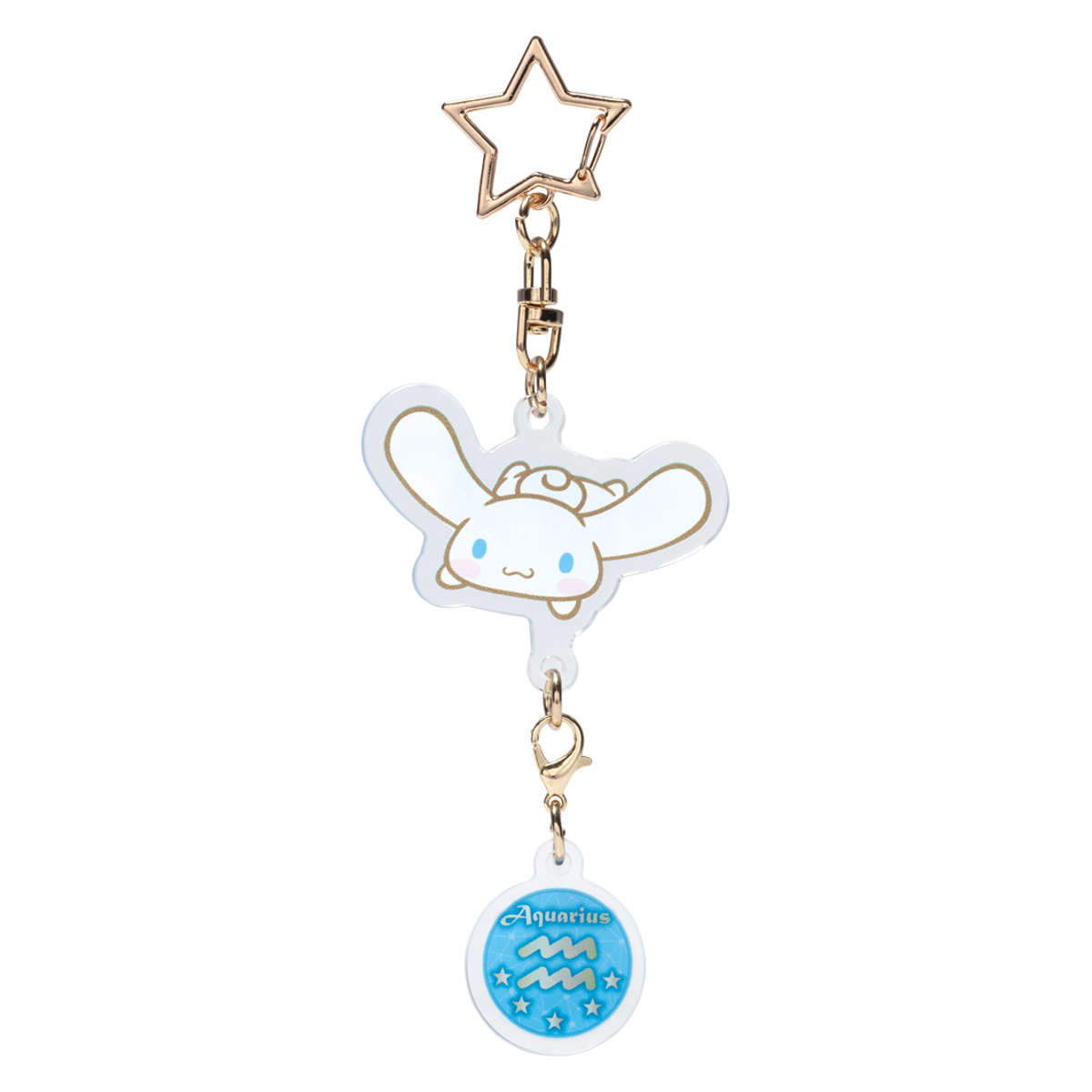 キーホルダー アクリル 星座キーホルダー サンリオ ( クロミ シナモロール ハローキティ ハンギョドン ポムポムプリン マイメロディ キャラクター 星座 アクキー 目印 紛失防止 チャーム ストラップ マスコット 子供 キッズ ) 【シナモロール×水瓶座】 シナモロール×水瓶座