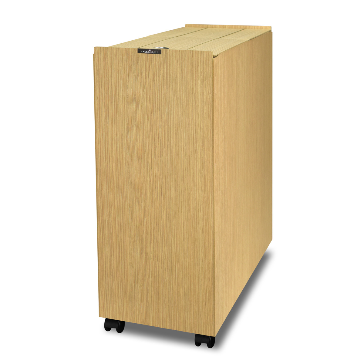 ゴミ箱 30L バスク 日本製 リビングペール ( ごみ箱 木目調 30リットル 袋 見えない くず入れ スリム スライド 角型 キャスター付き 幅21cm リビング キッチン 隙間 棚下 )